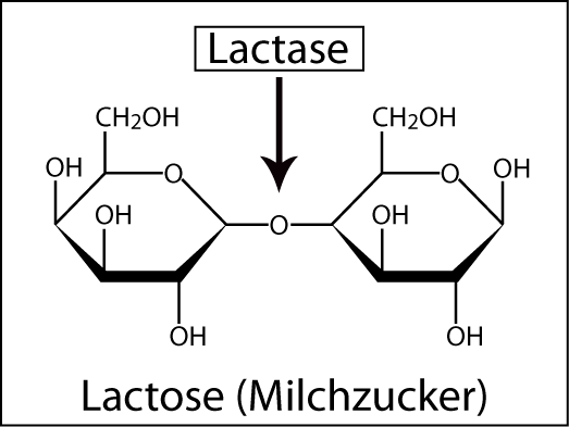 Lactose Strukturformel