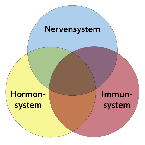 Diagramm Neurostress