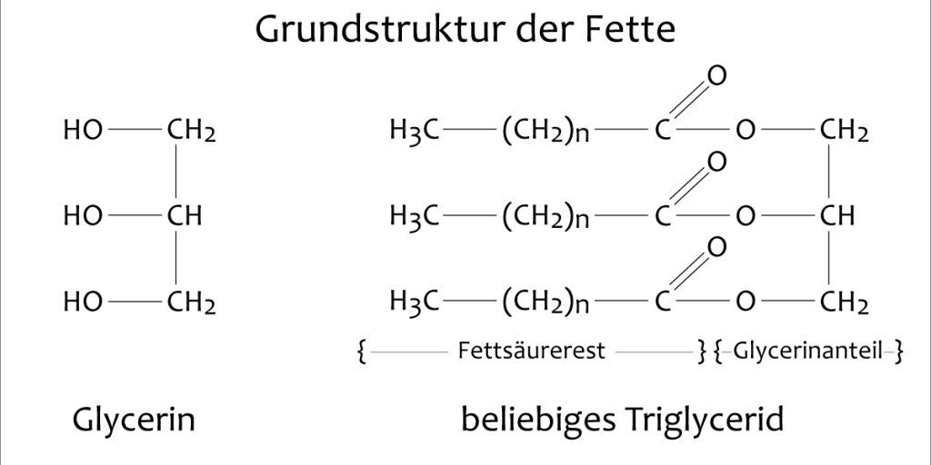 Fette Strukturformel