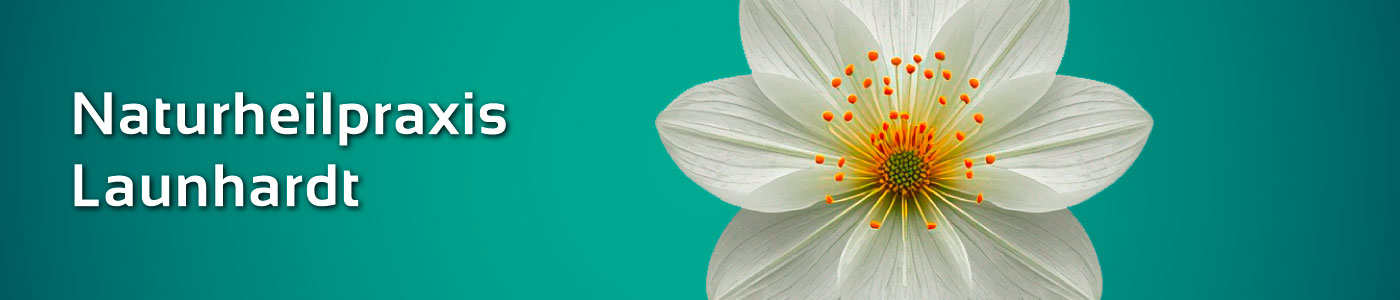 Naturheilpraxis Launhardt
